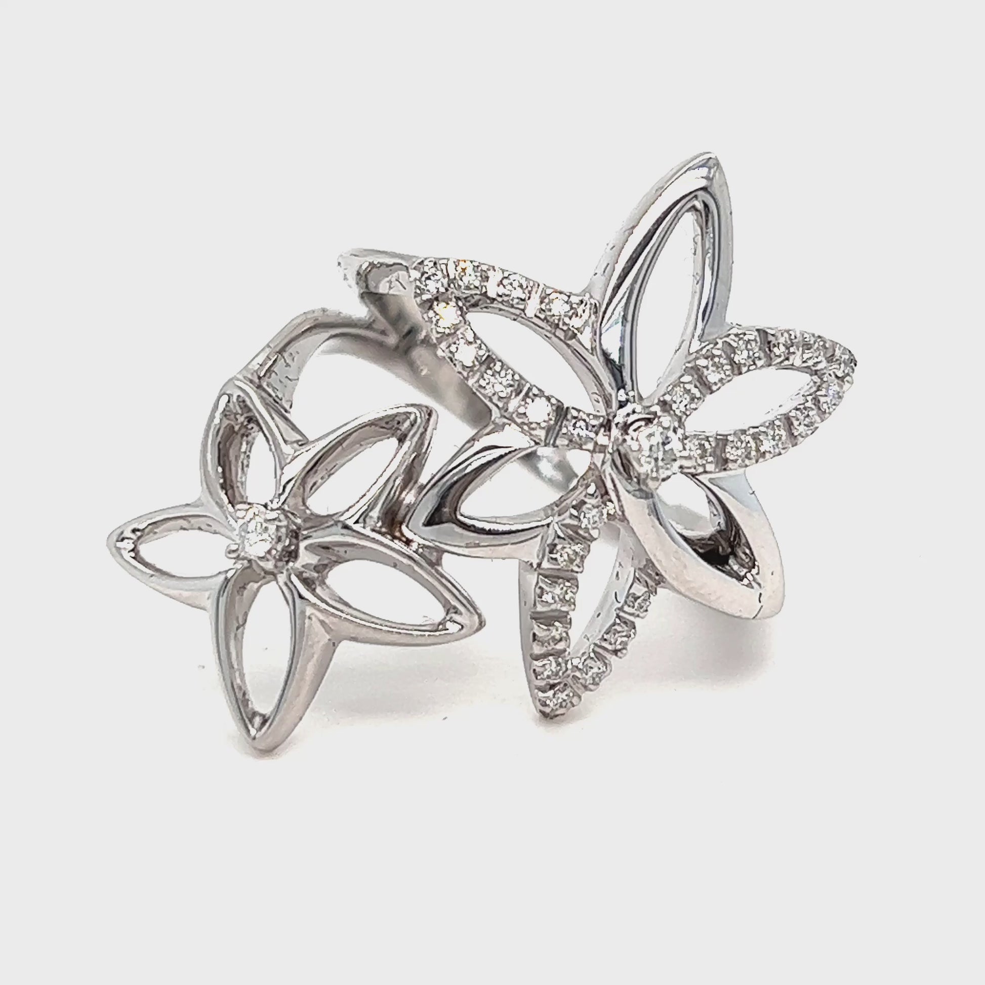 RN407991__2022-03-02-13-41-43.mp4