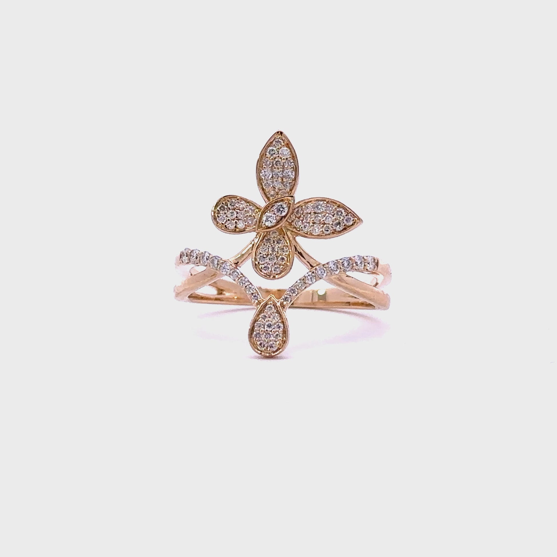 EF103784__2023-02-28-13-58-08.mp4