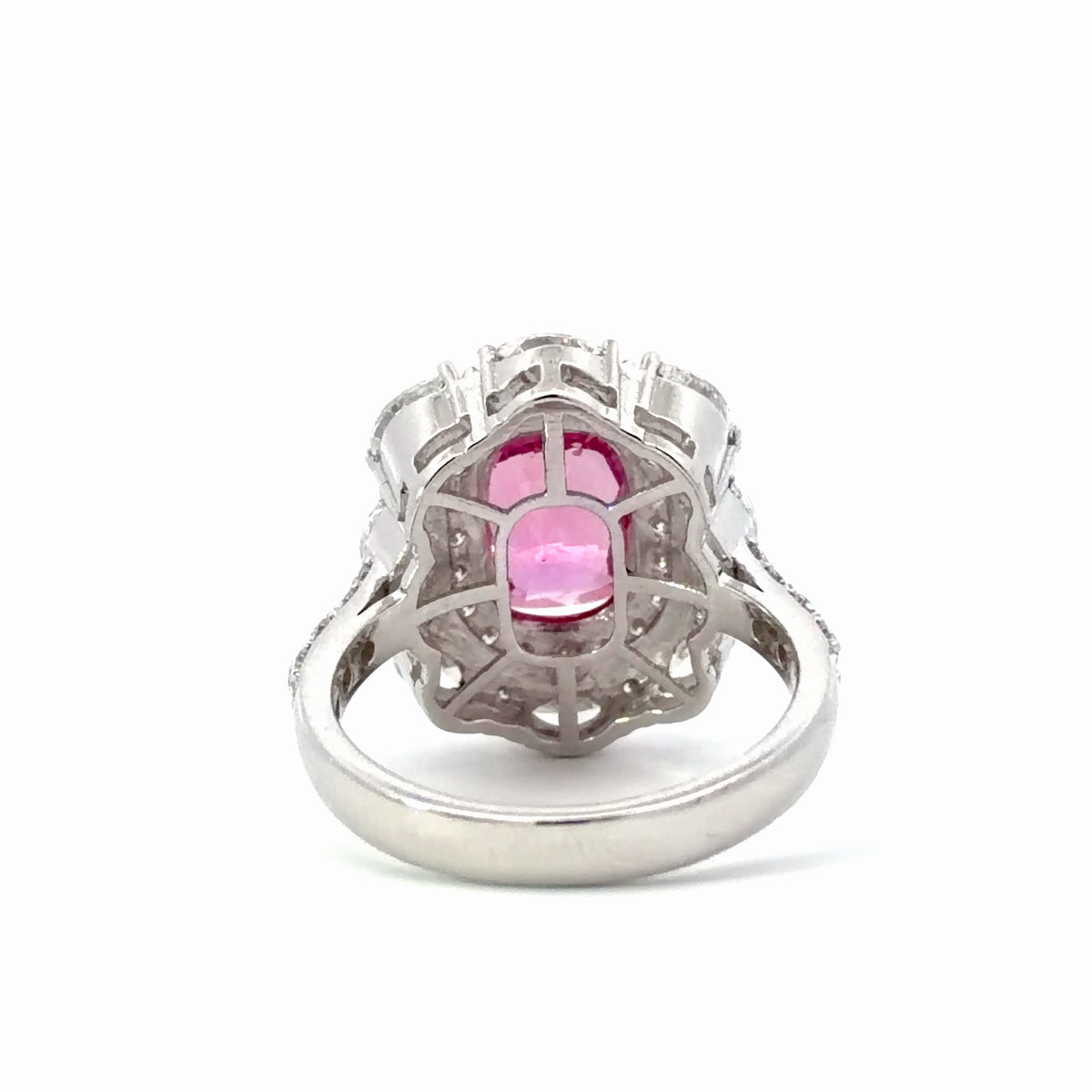 Natural Vivid Pink Sapphire Double Halo Cocktail Ring — White Gold
