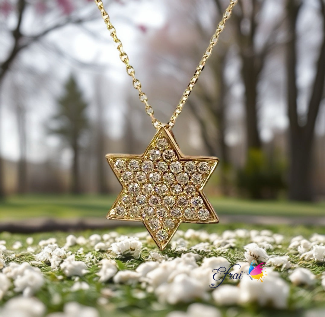 Star of david full of diamonds necklace