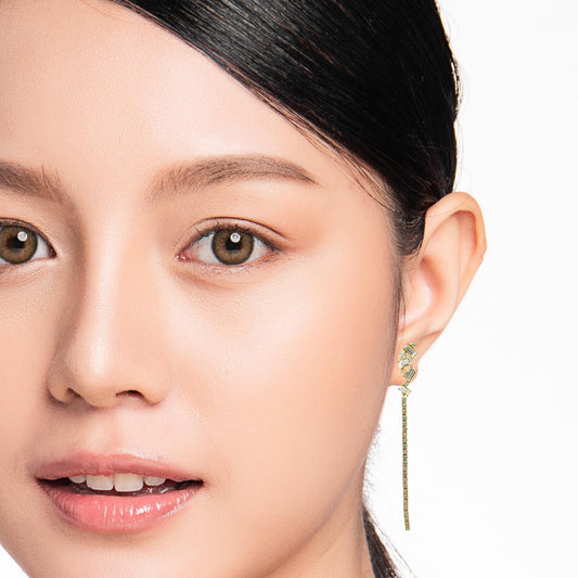 Long lines of diamonds earrings