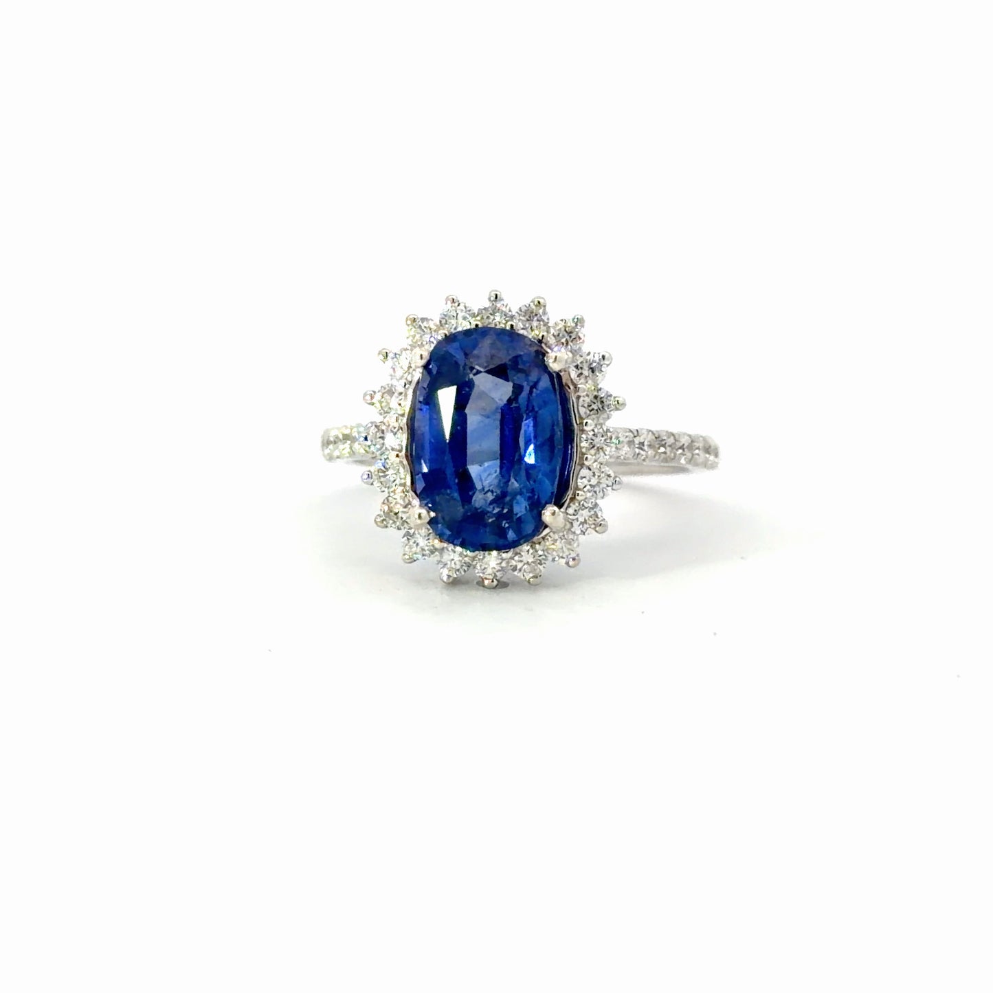 Natural Royal Blue Sapphire Oval Halo Cocktail Ring in White Gold